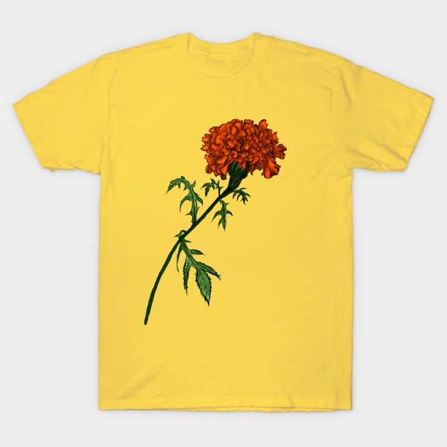 French Marigold Flower Vibrant Ink Drawing T-Shirt by Boriana Giormova